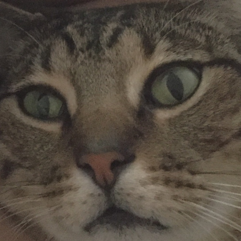 Meet your Posher, Celeste